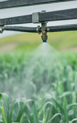 FERTILIZERS1