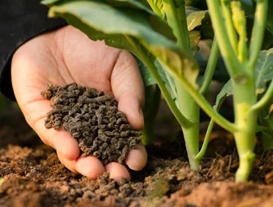 FERTILIZERS3